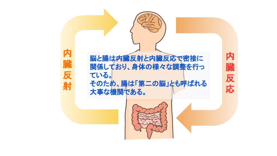 睡眠不足とうつ病の関連性を理解して低リスクで改善する対処法 Tc鍼灸マッサージ院