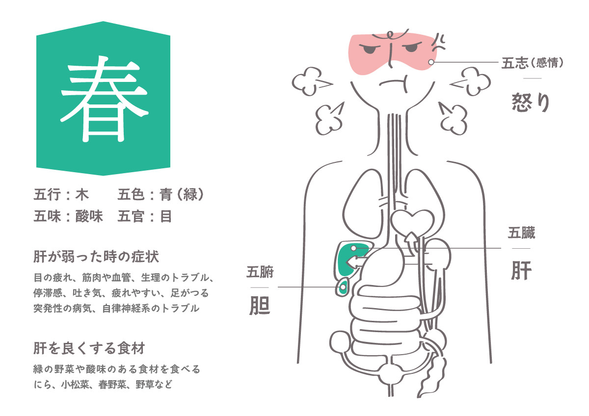 東洋医学による自己診断健康法 読体術: 自分でできる東洋医学の健康診断 (小学館実用シリーズ