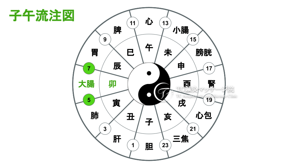 生活習慣の見直しで体質改善！子午流注に合わせたセルフケアを解説 | TC鍼灸マッサージ院