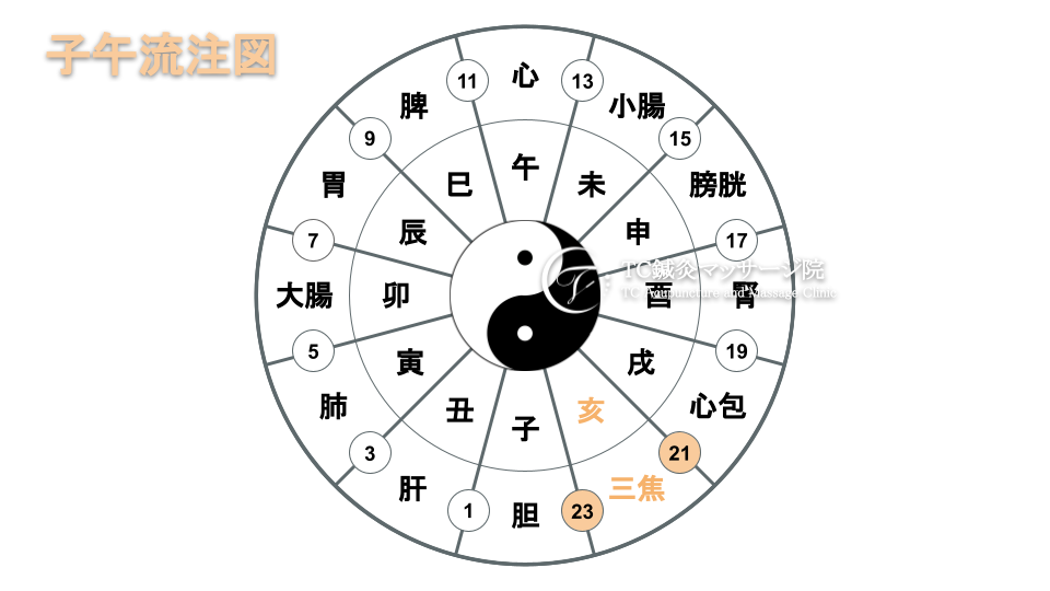 生活習慣の見直しで体質改善！子午流注に合わせたセルフケアを解説 | TC鍼灸マッサージ院